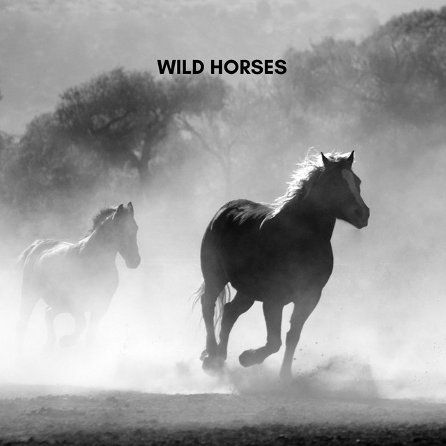 Wild Horses cover