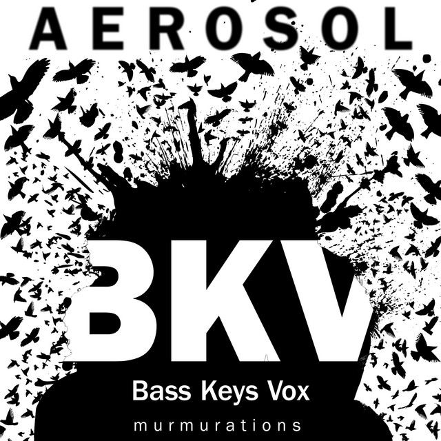 Murmurations (BKV Version) cover