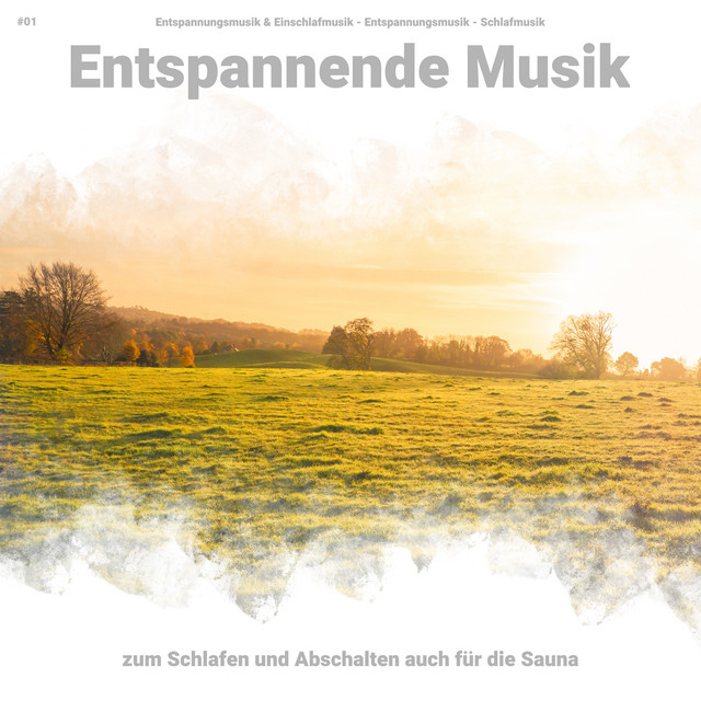 Entspannende Musik, Pt. 13 - song and lyrics by Entspannungsmusik und ...
