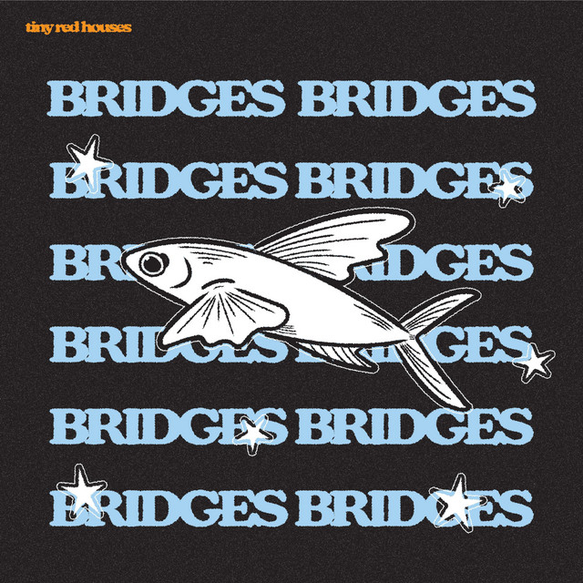 bridges cover art