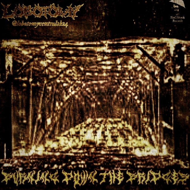 BURNING DOWN THE BRIDGES cover art