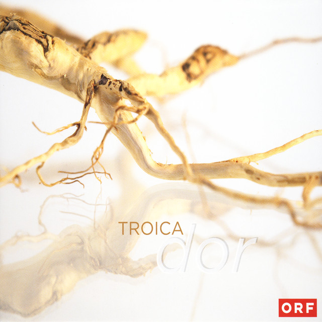 Dor cover art