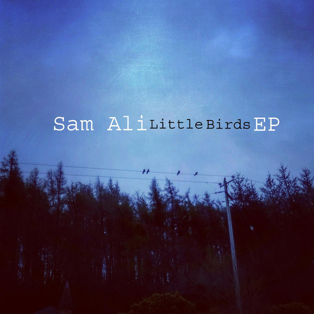Little Birds E.P. - EP by Sam Ali | Spotify