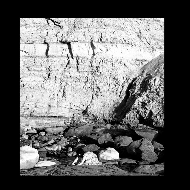The Limerent album image