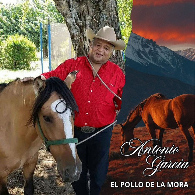 Si el Llano Reapareciera cover