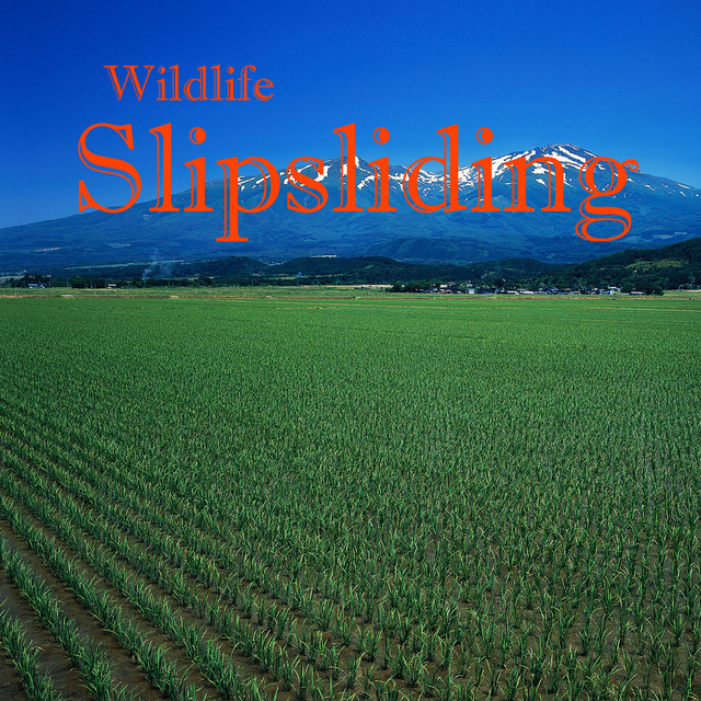 Slipsliding cover art