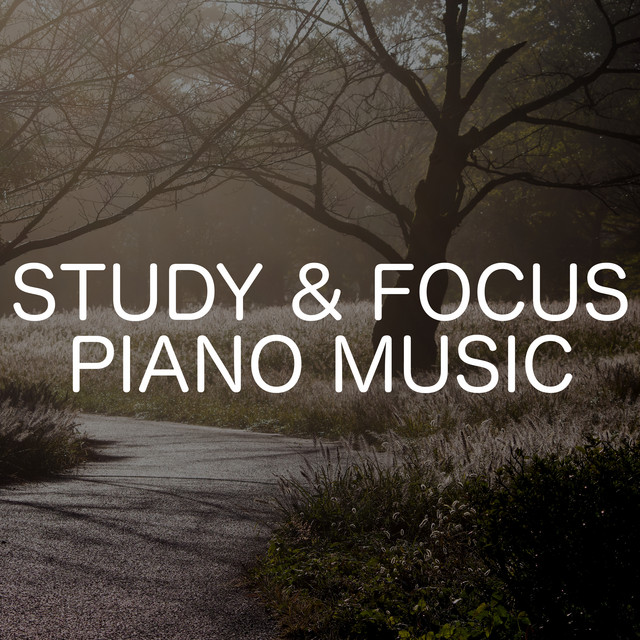 Study & Focus Piano Music - Album by Relaxing Chill Out Music | Spotify