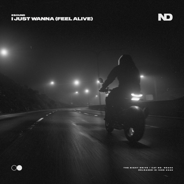 I Just Wanna (Feel Alive)