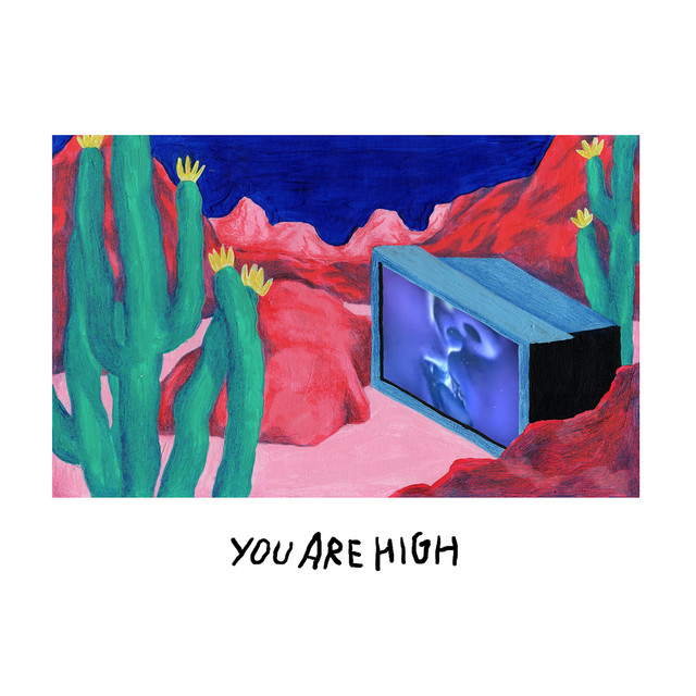 Cover du titre You're high