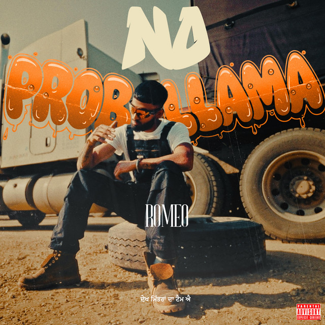 NO PROBLLAMA