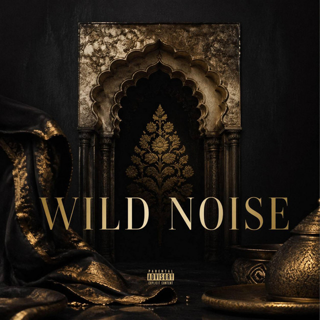 Обкладинка: WILD NOISE — SHTETS ARTEM