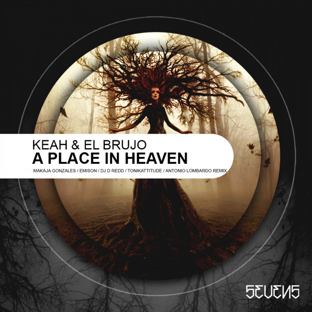 A Place In Heaven - Antonio Lombardo Remix cover art