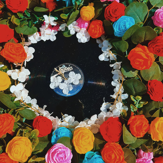 Plastic Roses album image