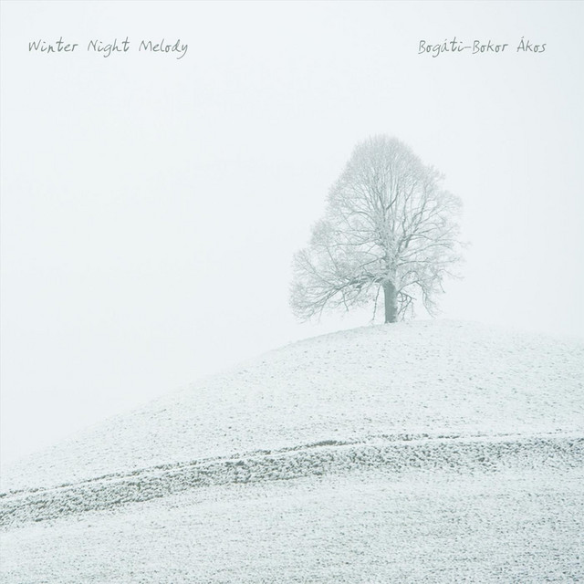 Winter Night Melody cover