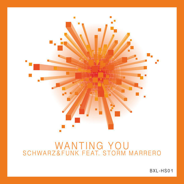 Wanting You - Classic House Mix cover art