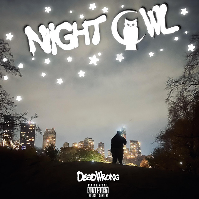NightOwl cover art