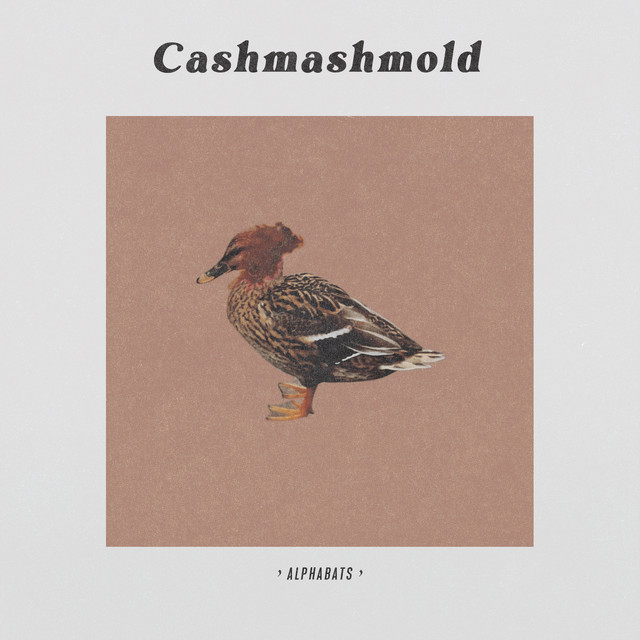 Cashmashmold cover
