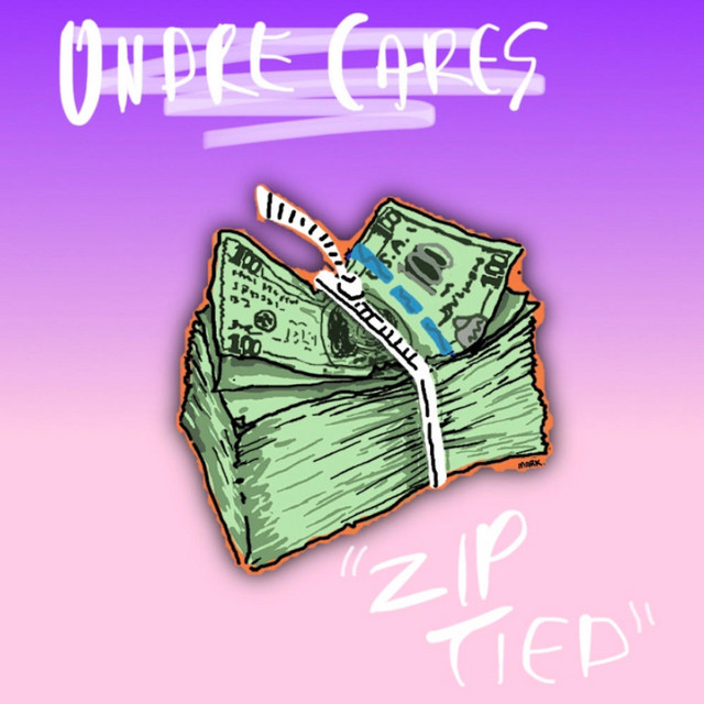 Zip Tied cover