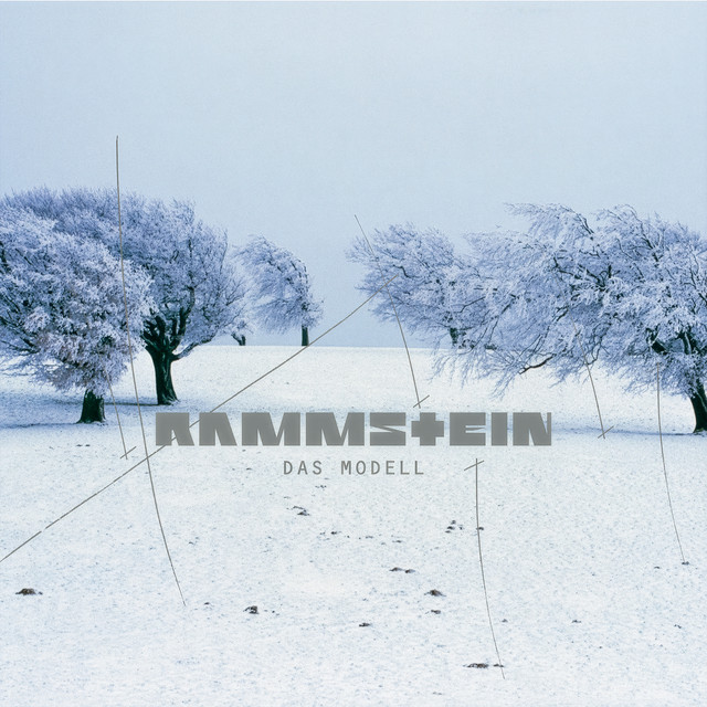 Das Modell cover art