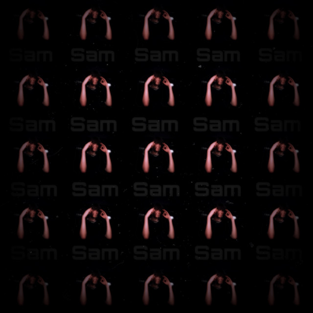 Sam cover art