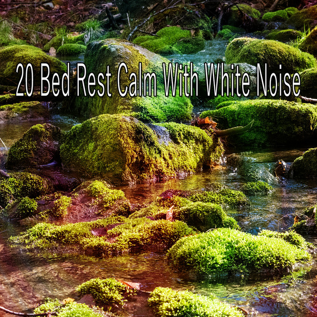 20 Bed Rest Calm With White Noise - Album by White Noise Baby Sleep ...