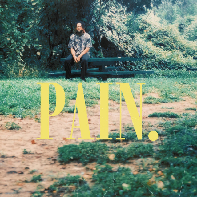 PAIN. cover art
