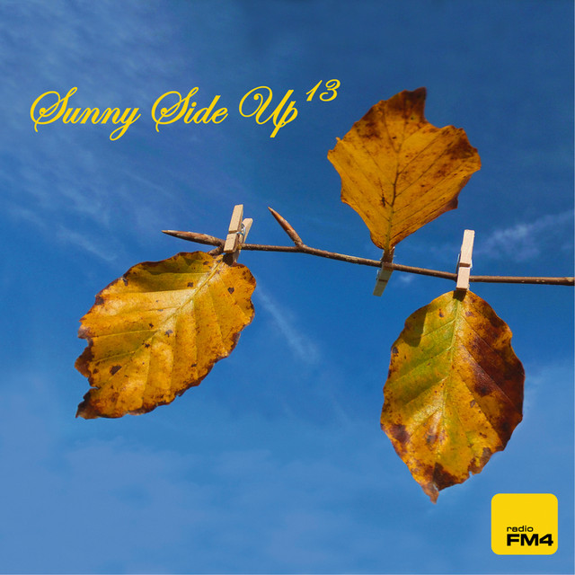 Sunny Side Up Vol.13 cover art