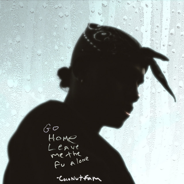 Go Home Leave Me The Fuck Alone cover art