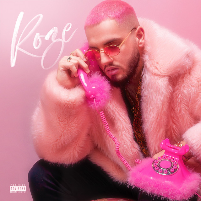 Roze cover art