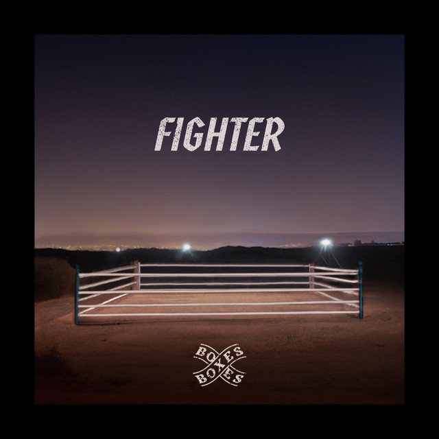 Fighter cover art