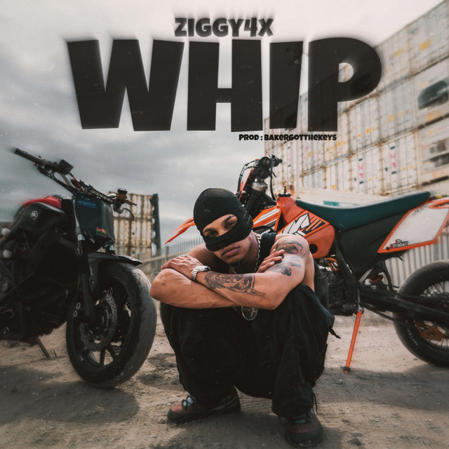 Whip - Single by Ziggy4x | Spotify