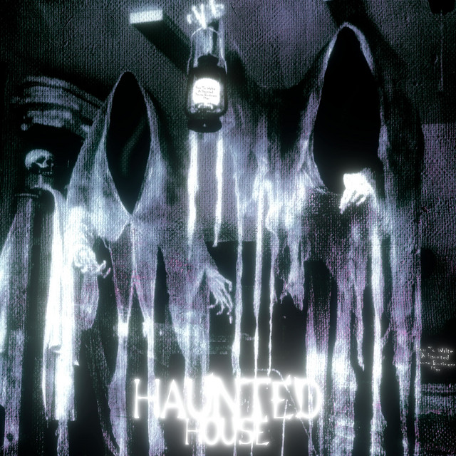 Обкладинка: Haunted House — LEYM