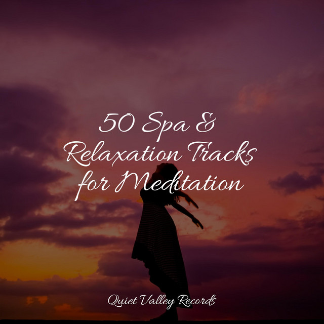 50 Spa & Relaxation Tracks for Meditation - Album by Rain Sound Studio ...