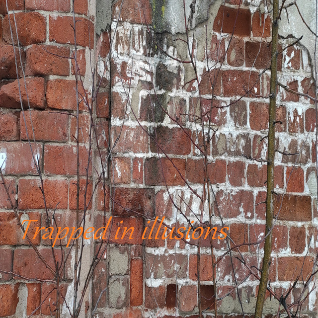 Trapped in Illusions cover art