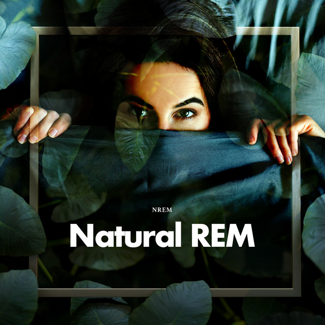 Natural REM cover art