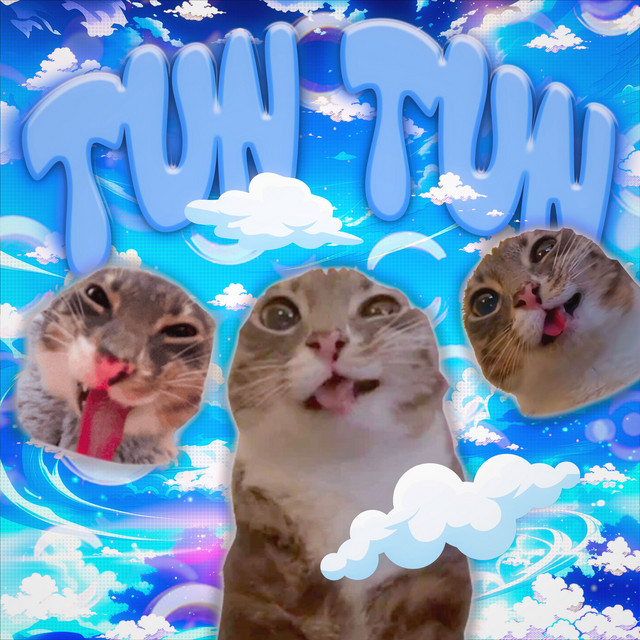 TUN TUN