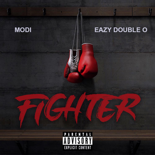 Fighter cover art