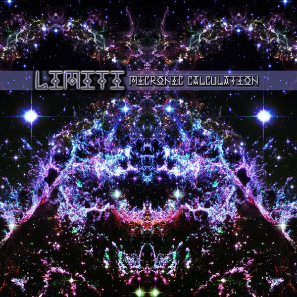Micronic Calculation cover