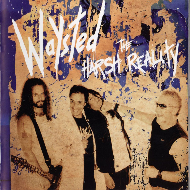 The Harsh Reality cover art