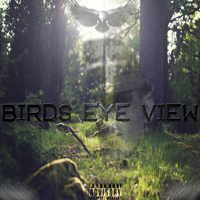 Birds Eye View cover art