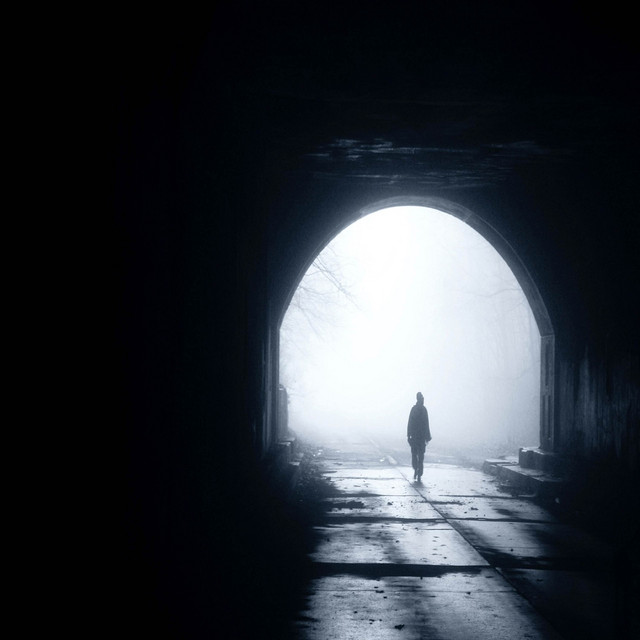 Not Alone cover art