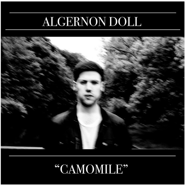 Camomile cover art