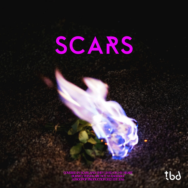 Scars cover art