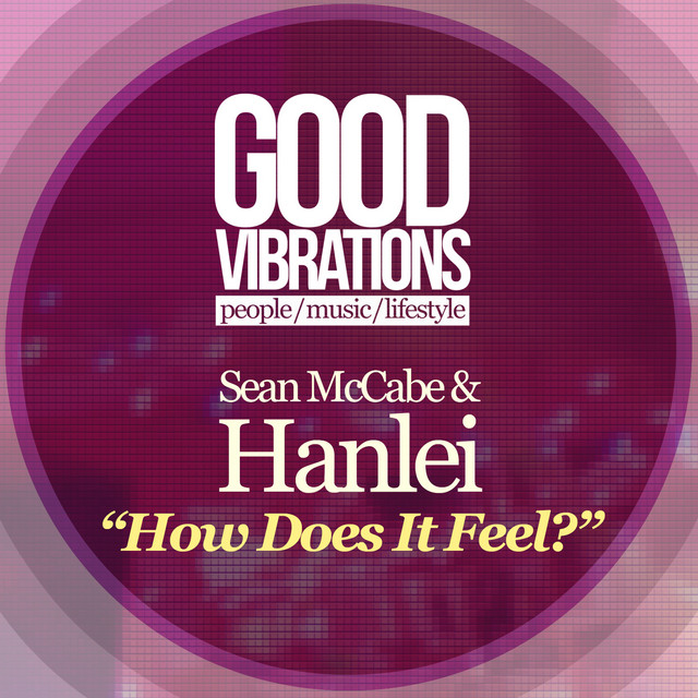 How Does It Feel? - Sean's Labour of Love Vocal cover art