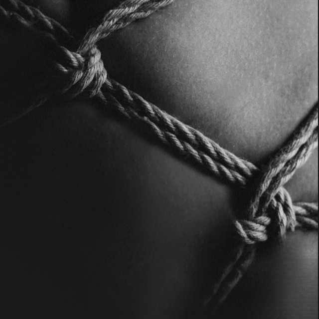 inthedark cover art