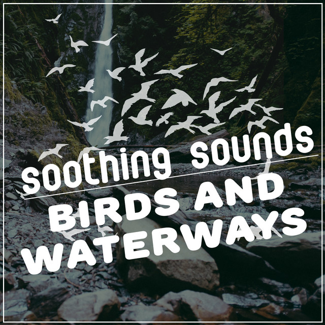 Soothing Sounds: Birds and Waterways cover art