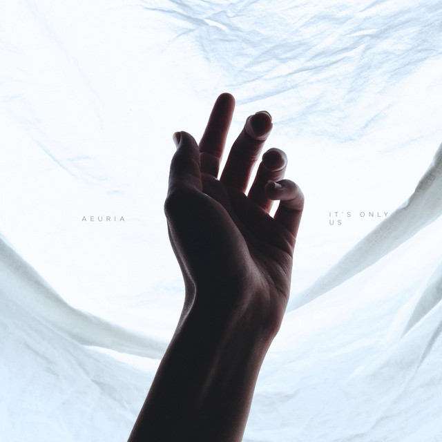 It's Only Us cover