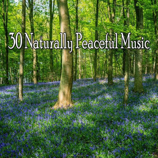30 Naturally Peaceful Music - Album by Nature Sounds Nature Music | Spotify