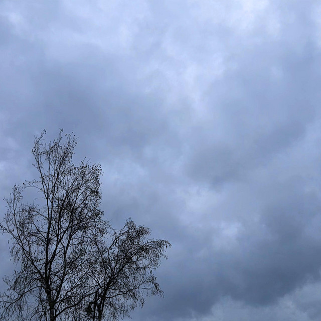 Raindrop cover art