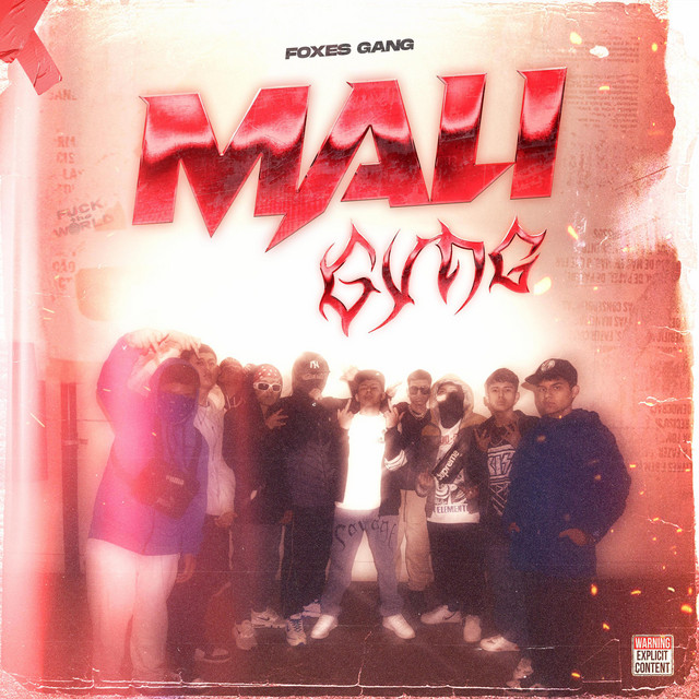 MALI GVNG cover art